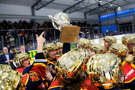 Djurgårdens spelare jublar med pokalen