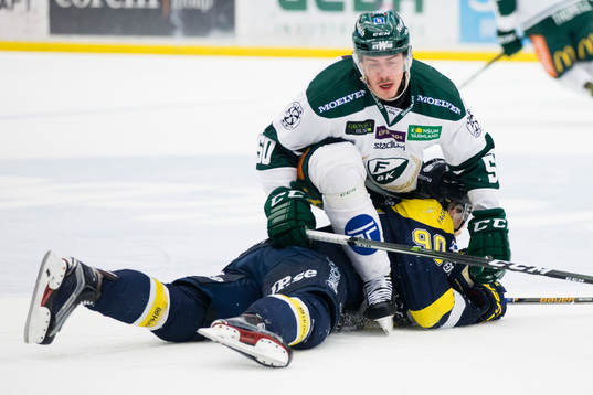 s Ted Brithén