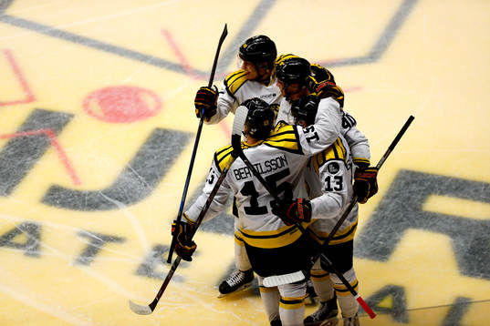 Brynäs Jesper Jensen jublar med lagkamrater
