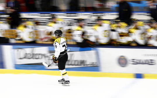 Brynäs Daniel Mannberg jublar