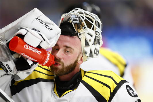 Brynäs David Rautio