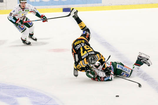 Skellefteås Emil Djuse