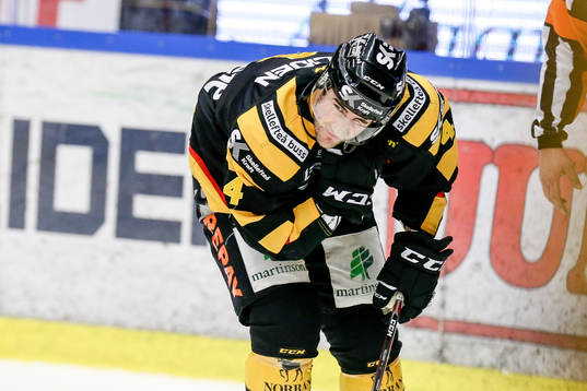 Skellefteås Bud Holloway