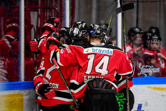 Malmö Redhawks Rhett Rakhshani jublar med lagkamrater