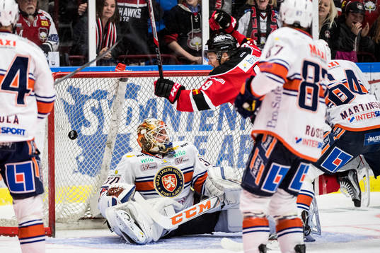 Malmö Redhawks Rhett Rakhshani jublar
