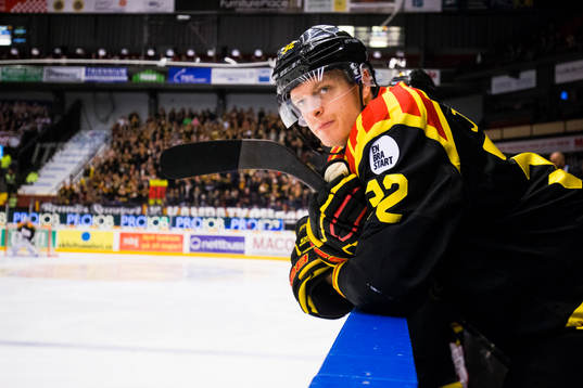 Brynäs Nick Johnson