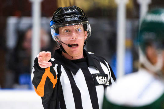 Domare Mikael Holm