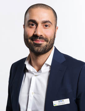 Kaveh Sarvari, SEF