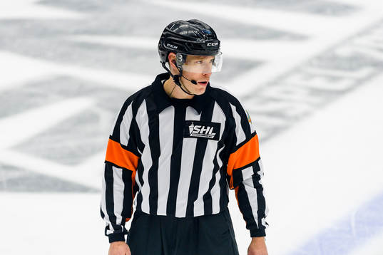 Domare Tobias Björk