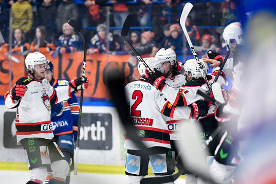 Malmö Redhawks spelare jublar