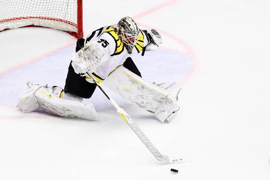 Brynäs målvakt David Rautio