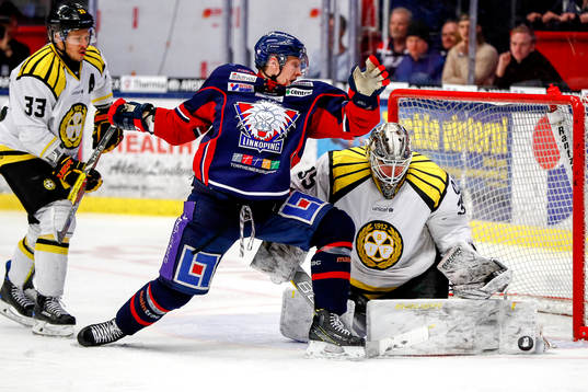 Brynäs målvakt David Rautio