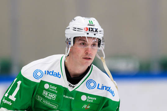 Rögles Bryan Lerg