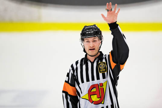 Domare Daniel Eriksson