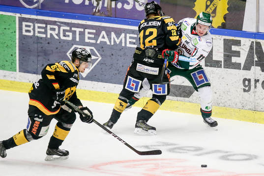Skellefteås Adam Pettersson