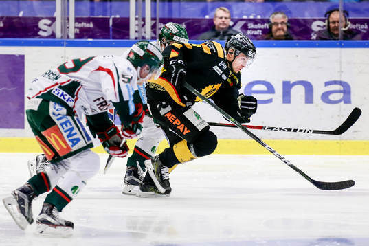 Bläddra bland fler bilder av Ishockey, SHL, Kvartsfinal 4, Skellefteå - Frölunda