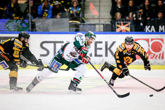 Skellefteås Johan Alm och Mark Katic