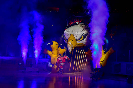 Malmö Redhawks Rhett Rakhshani gör entre