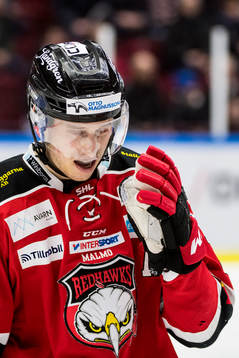 Malmö Redhawks Robin Alvarez deppar