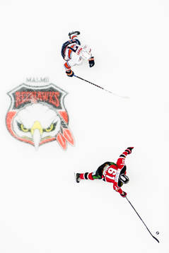 Malmö Redhawks Nicklas Jadeland och Växjös Jeff