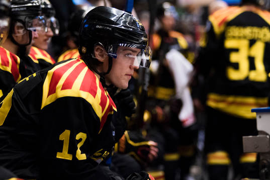 Brynäs Samuel Asklöf