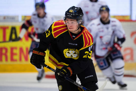 Brynäs Lucas Carlsson