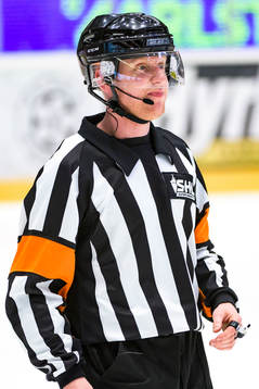 Domare Mikael Holm