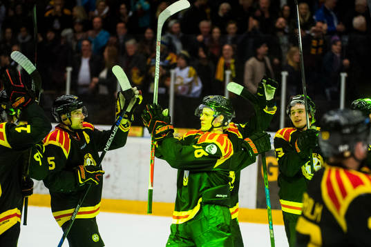 Brynäs spelare  jublar