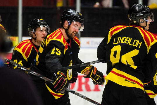 Brynäs Simon Bertilsson  jublar