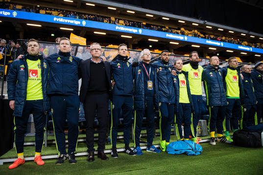 Sveriges Sebastian Larsson, assisterande förbundskapten