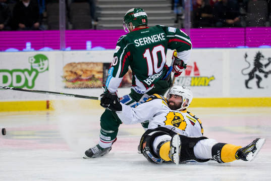 Skellefteås Johan Alm faller