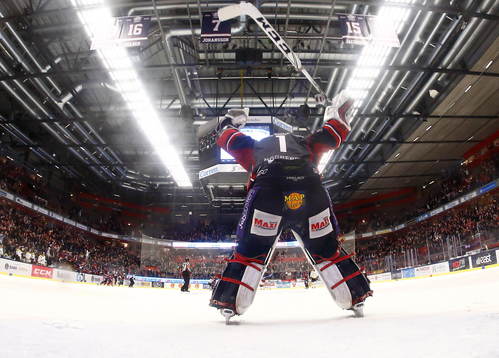 Linköpings målvakt Marcus Högberg jublar