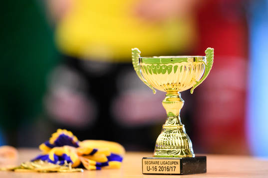 Cup pokalen