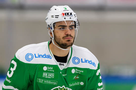Rögles Almen Bibic