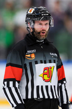 Domare David Bergman