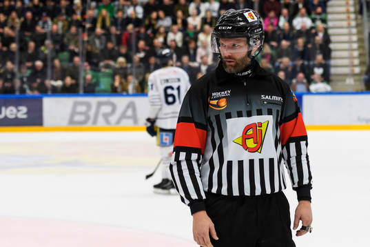 Domare David Bergman