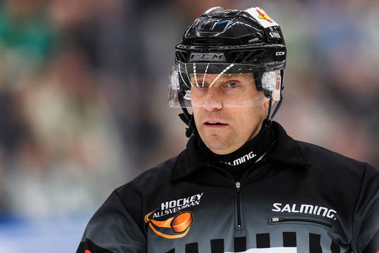 Domare Sören Persson