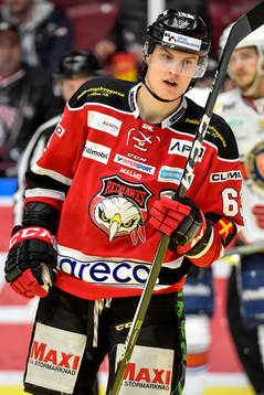 Malmö Redhawks Fredrik Händemark deppar