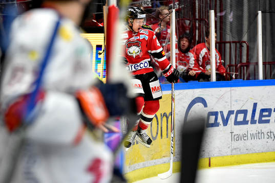 Malmö Redhawks Rhett Rakhshani jublar