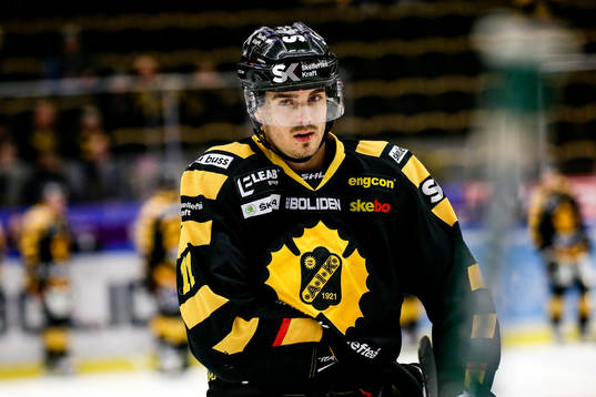 Skellefteås Henrik Hetta