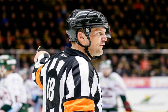 Domare Mikael Nord