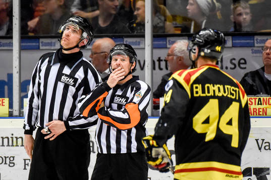 Domare Wolmer Edqvist granskar en situation