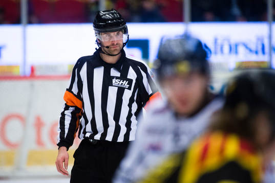 Domare Mikael Sjöqvist