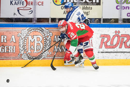 Leksands János Hári