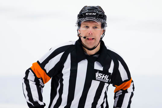 Domaren Wolmer Edqvist