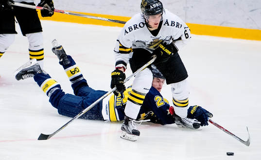 s Arvid Henriksson och HV71:s Ian Örnskog