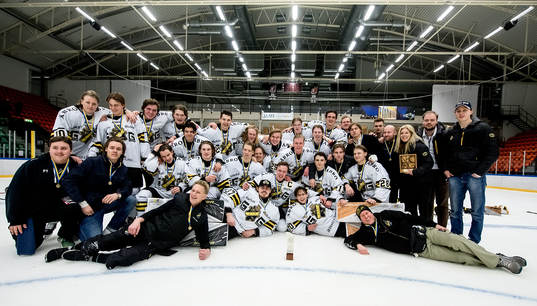 AIK lagbild