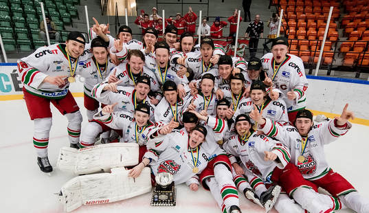 Modo lagbild