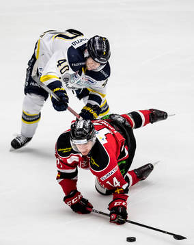 s Pär Arlbrandt och Malmö Redhawks Carl-Johan Lerby