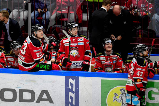 Malmö Redhawks Fredrik Händemark deppar i båset